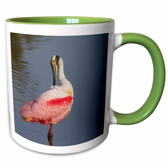3drose, Roseate Spoonbill Preening, 11oz Two-tone Green Mug