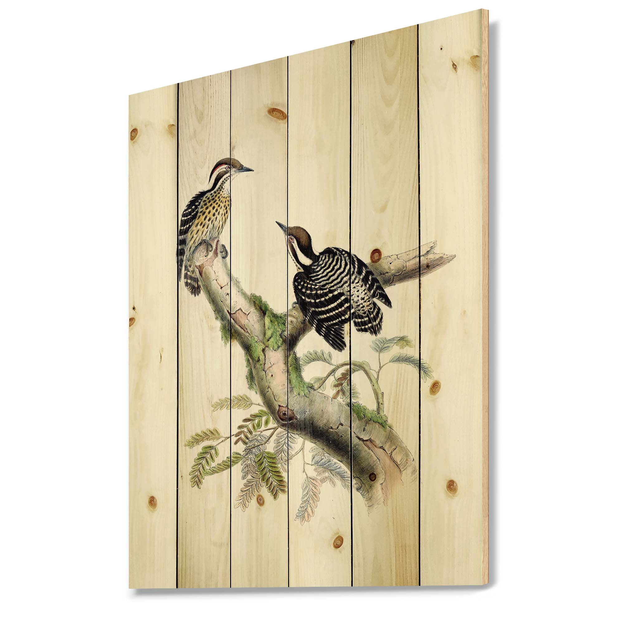 Designart 'Ancient Birds In The Wild VIII' Traditional Print on Natural Pine Wood
