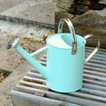 thumbnail image 3 of Watering Can - Metal Watering Can With Removable Spout, Perfect Plant Watering Can, 3 of 7