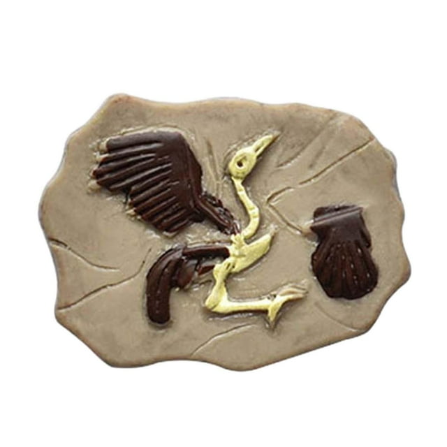 Colección de regalos educativos de fósiles en miniatura: adornos realistas para hacer tú mismo Pájaro