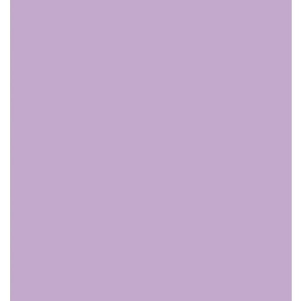 RTC Fabrics 42"/43" 100 Cotton Flannel Solid Crafting Fabric 8 yd by