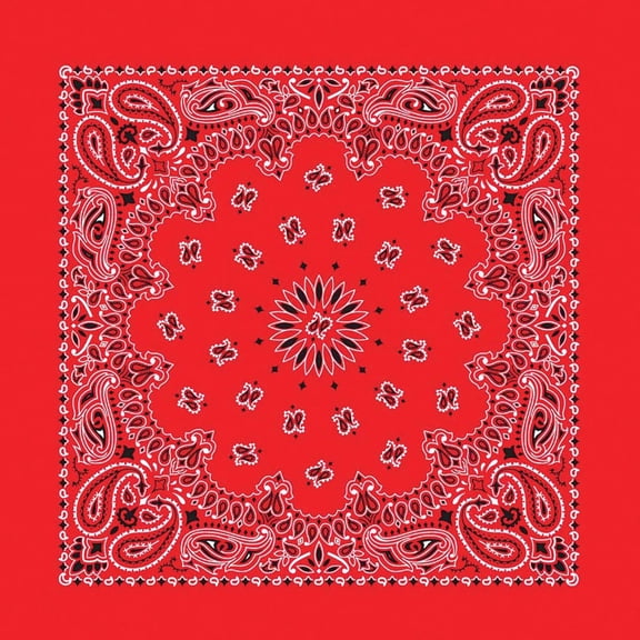 Hav-A-Hank Paisley Bandana - Red, 22" W x 22" L