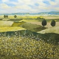 thumbnail image 3 of Friedlander, Allen 12x12 Black Modern Framed Museum Art Print Titled - Green Hills, 3 of 5