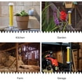 thumbnail image 3 of Colgante Fly Traps Trappify para interiores y exteriores (paquete de 2), 3 of 9