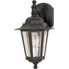 Nuvo Lighting 60/990 Cornerstone 1 Light 13" Tall Outdoor Wall Sconce With - Black