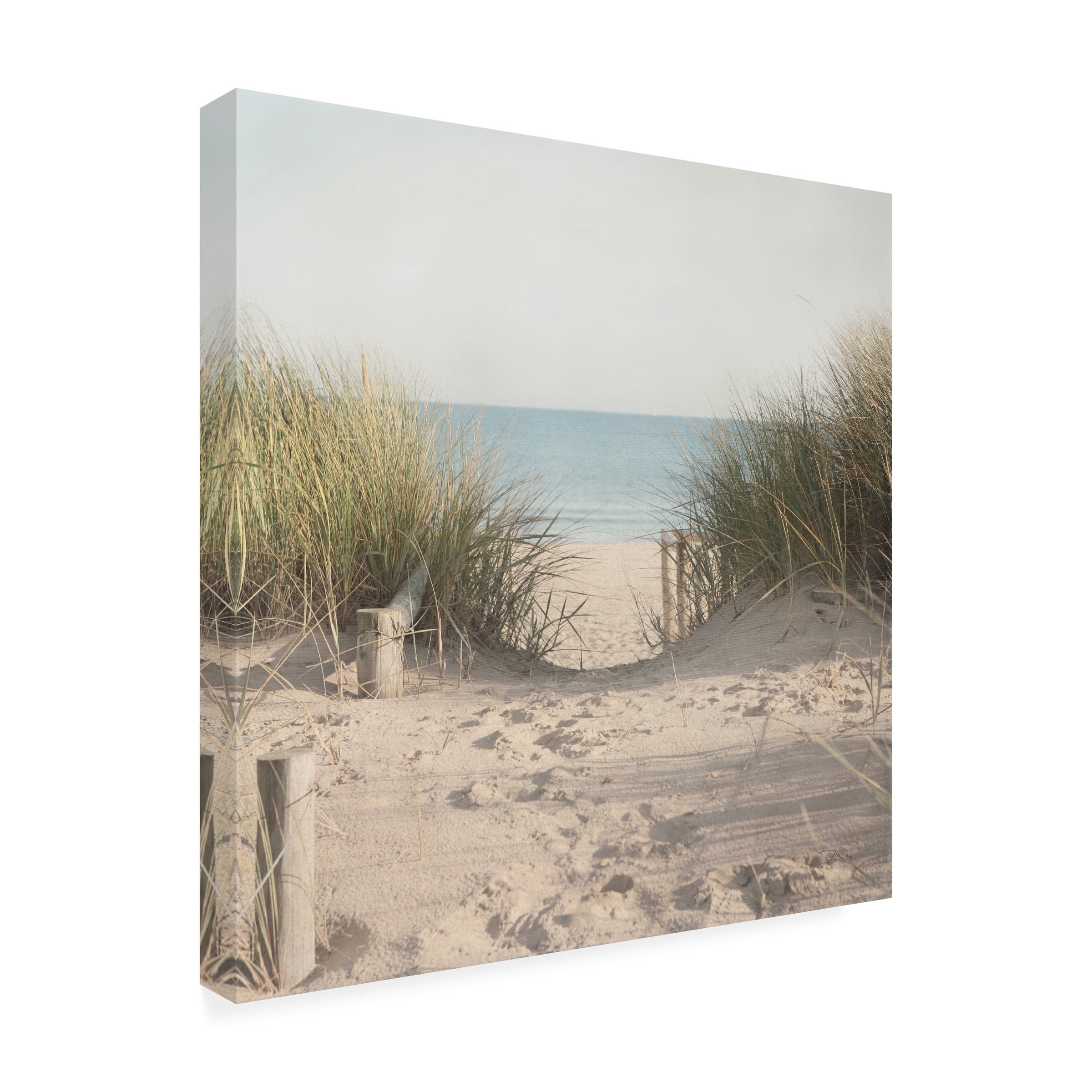 Pela Studio 'Beach Grasses' Outdoor All-Weather Wall Decor