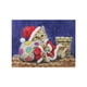 thumbnail image 1 of Navidad gato resina diamante costura DIY 5D Santa Claus pintura de diamantes de imitación bordado de cristal oficina en casa punto de cruz Speravity JR0622-01, 1 of 6