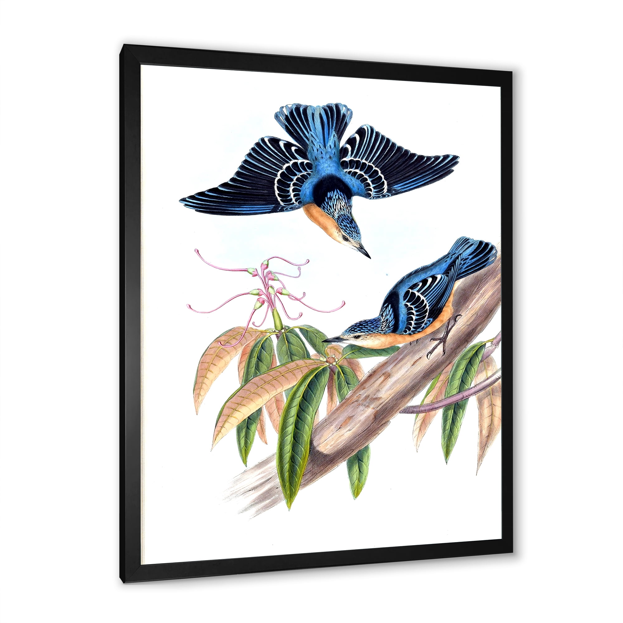Designart 'Vintage Countryside Birds On Branch V' Farmhouse Framed Art Print