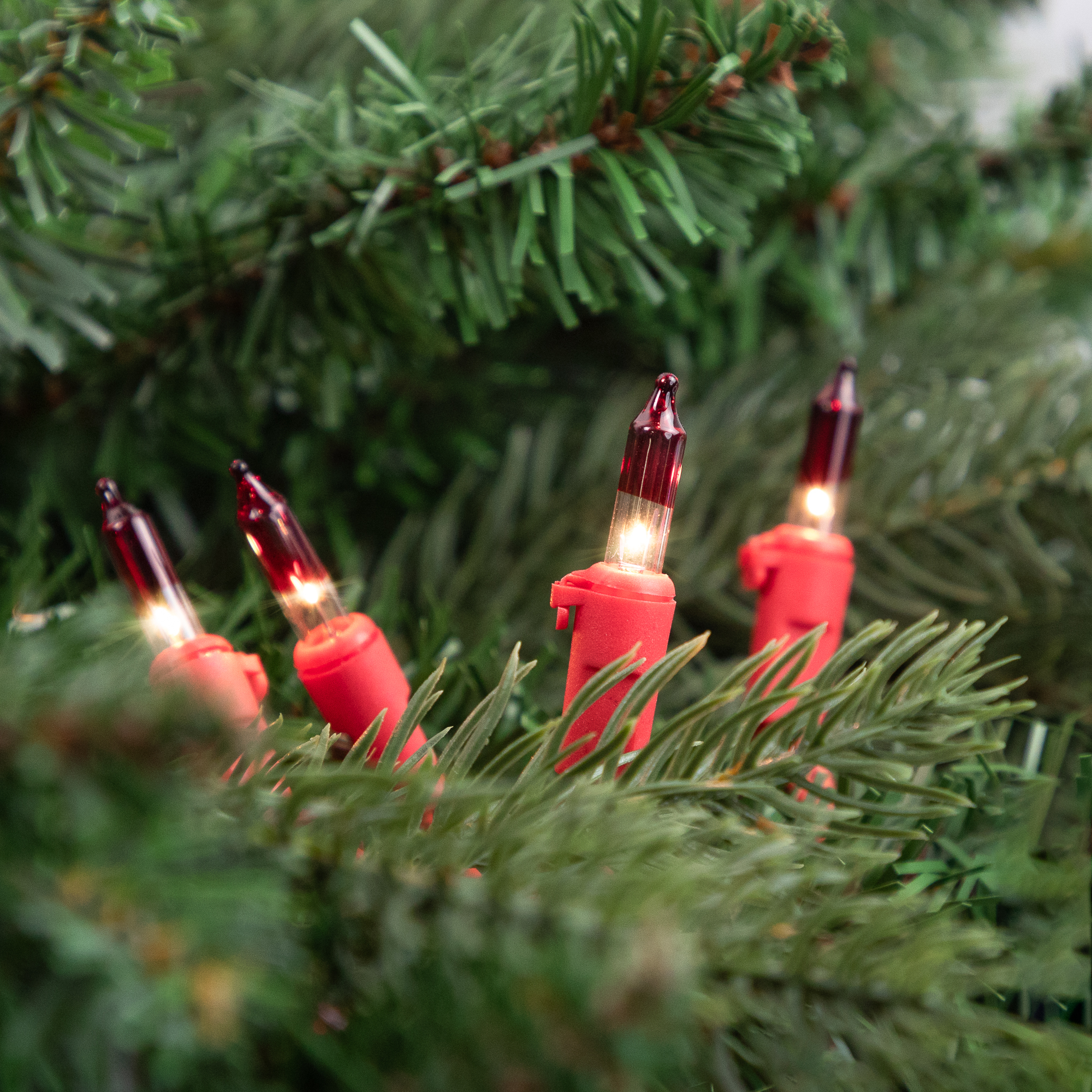 Northlight Mini Christmas Light Set- Clear with Red Tips - 10' Red Wire - 50ct