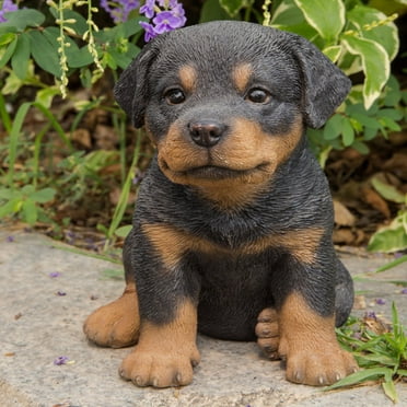 Hi-Line Gift Ltd, Rottweiler Puppy
