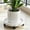 White-WH, variant on MMJ Plant Stand Flower Pot Caddy with Wheels Rolling Planter Base for Indoor Outdoor Heavy Pots 11.81x11.81x3.93in