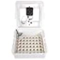 thumbnail image 2 of Little Giant 11300 Deluxe Digital Incubator with Fan and Automatic Egg Turner, 2 of 10