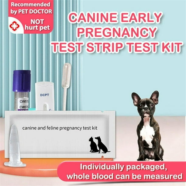 Test de embarazo para perros sale