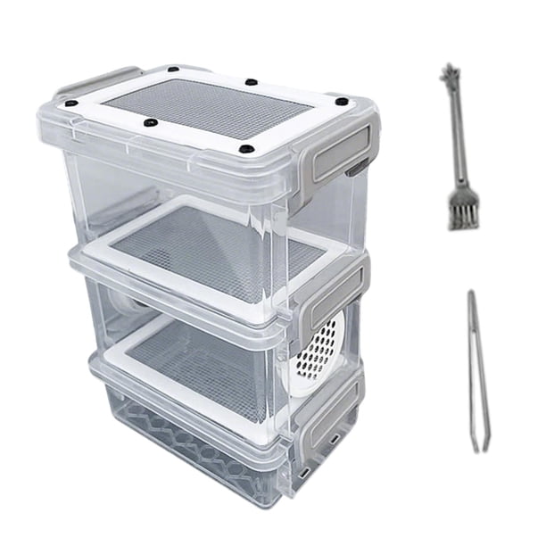 Caja de alimentación para cucarachas, terrario transparente, contenedor de hábitat, jaula portátil para animales Estilo B