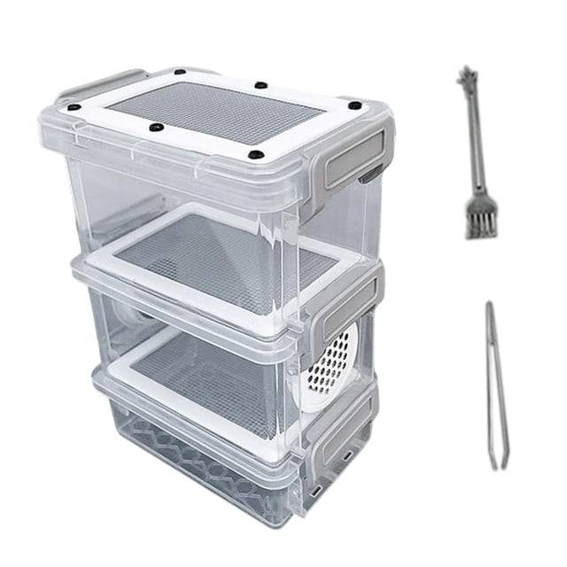Almencla Boîte d'Alimentation pour Blattes Boîte d'Élevage Réutilisable Maison Transparente Facile à Nettoyer Portable Style B