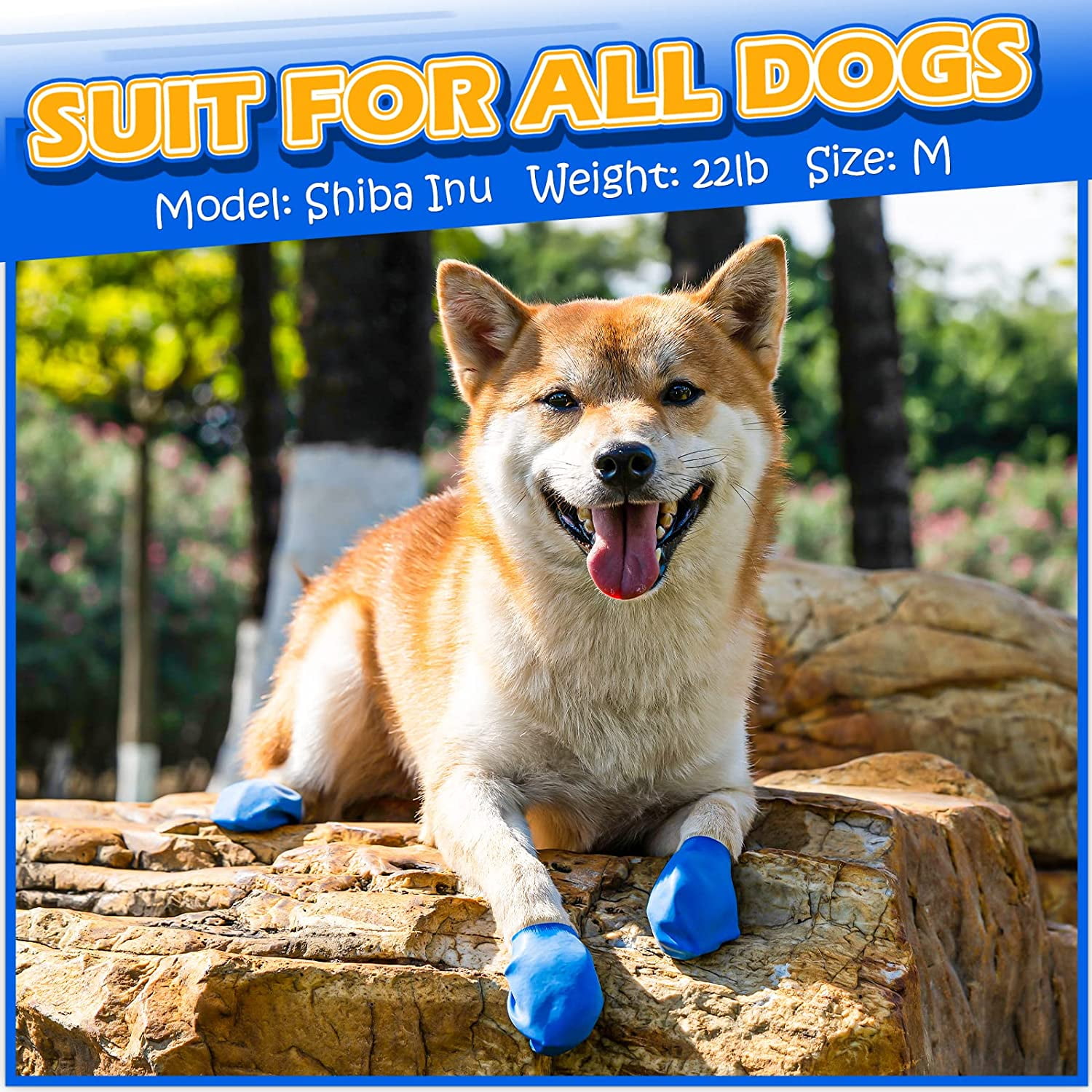 Dog boots blue dog waterproof shoes rubber boots snow boots puppy paw protection degradable silicone safe and environmentally friendly