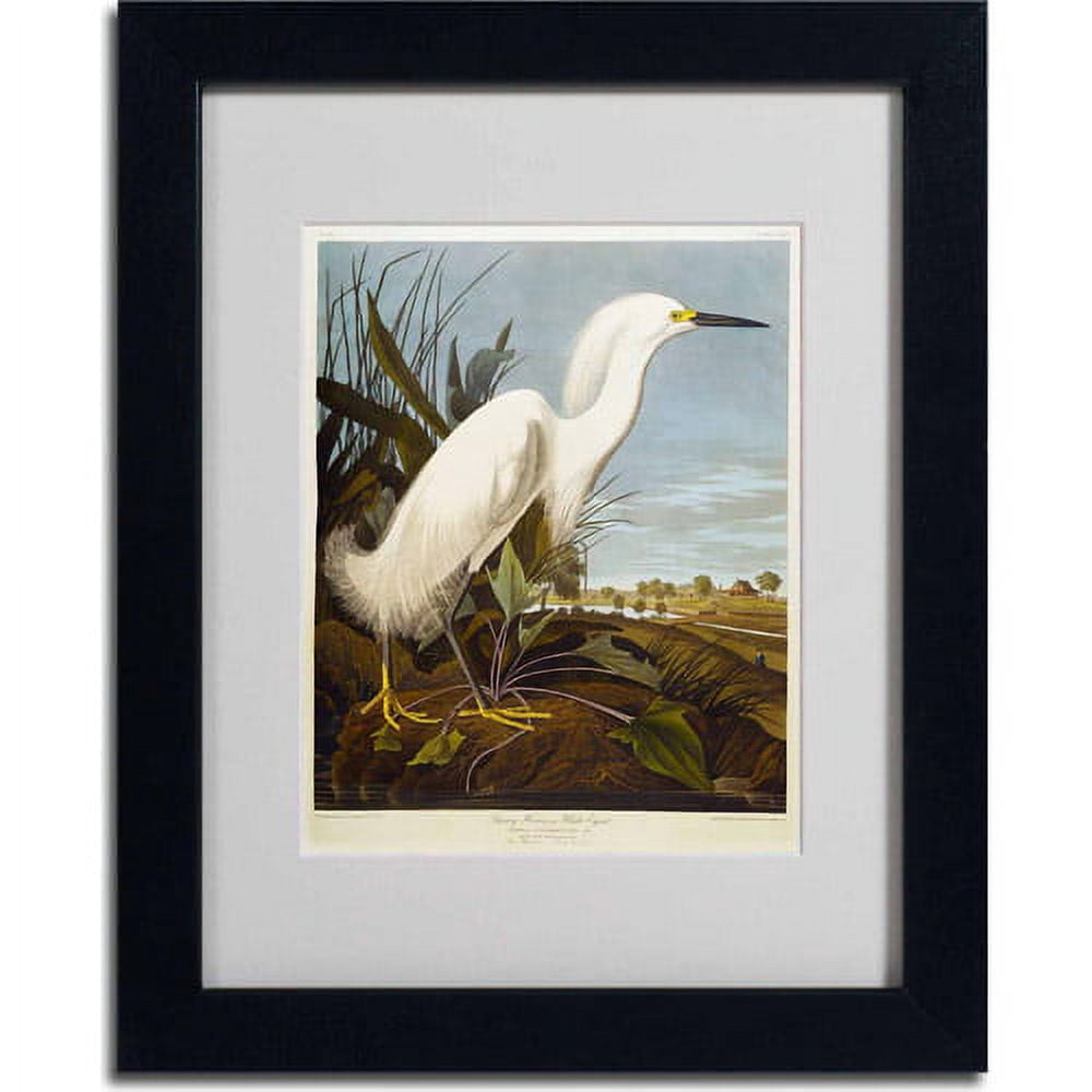 Trademark Fine Art "Snowy Heron" Canvas Art by John James Audubon, Black Frame