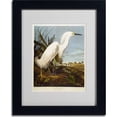 thumbnail image 2 of Trademark Fine Art "Snowy Heron" Canvas Art by John James Audubon, Black Frame, 2 of 3