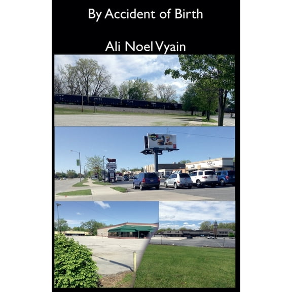 Poetry By Accident of Birth, Book 6, (Paperback)