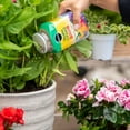thumbnail image 3 of Miracle-Gro Shake N Feed All Purpose Plant Food 12-4-8, 3 of 6