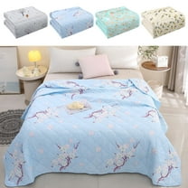 Under $5 InsCrazy Cooling Blanket Double Sided Cold Effect for Hot Sleepers Super Soft