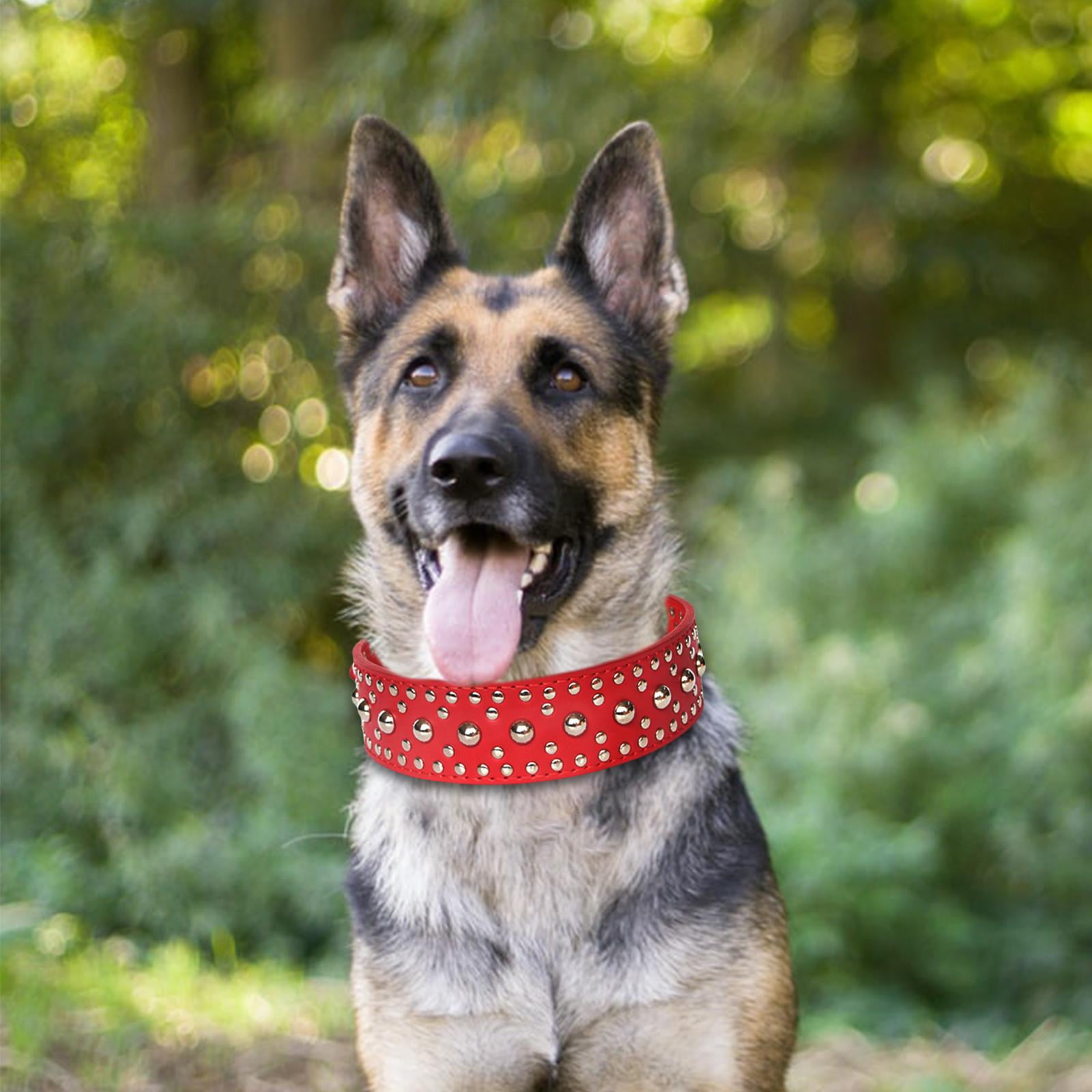 Puppy Collar Fashional for Walking Large Breed Dogs German Dog L Red Walmart