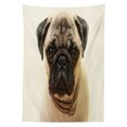 thumbnail image 3 of Ambesonne Pug Tablecloth Rectangular Table Cover, Pure Bred Dog Photograph, 60"x84", Pale Brown Black, 3 of 4