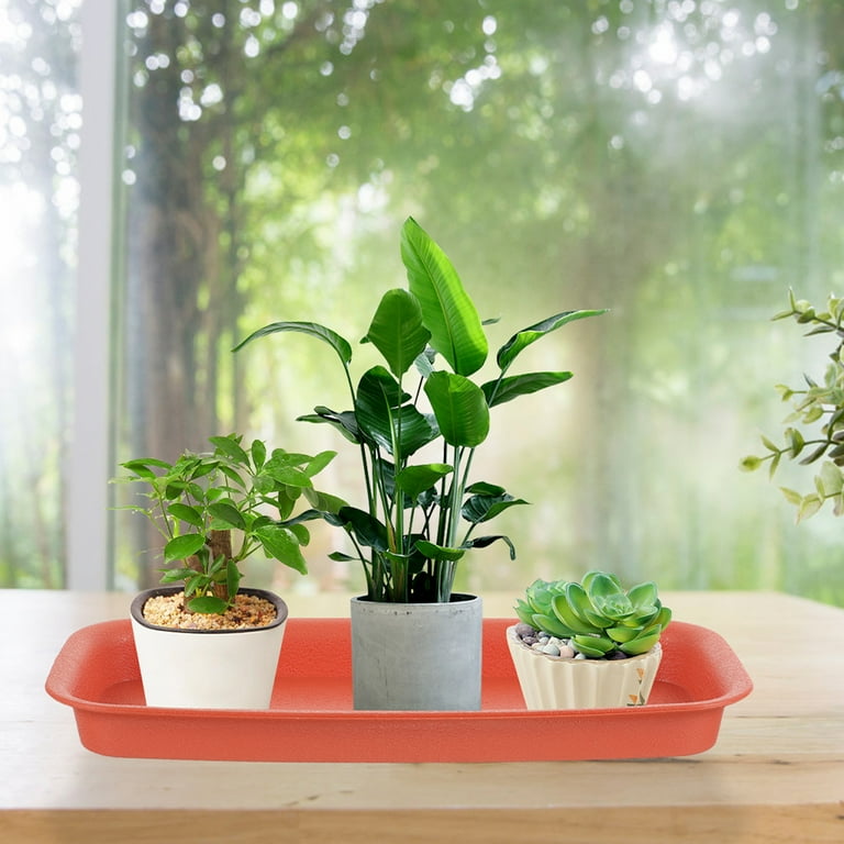 2Pcs Rectangular Flowerpot Water Tray Rectangular Plant 2Pcs Rectangular Flowerpot Water Tray Rectangular Plant
