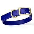 thumbnail image 5 of Size L (18 to 22 inches) Viper Biothane Waterproof Collar - Brass Hardware, 5 of 35