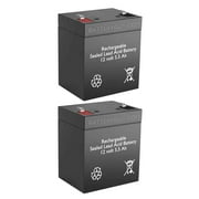 Hawker/Cyclon/Enersys-Hawker NPX-25TFR BatteryGuy brand equivalent High Rate - Qty of 2