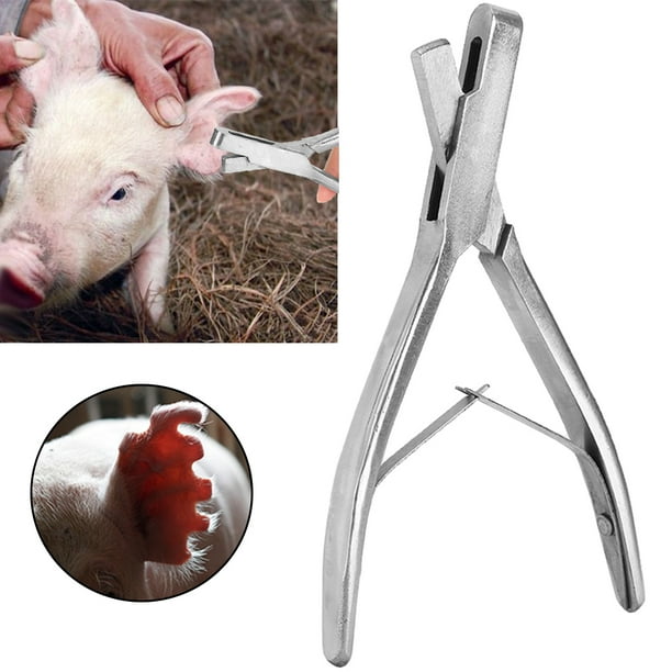 livestock ear notch tissue sampler