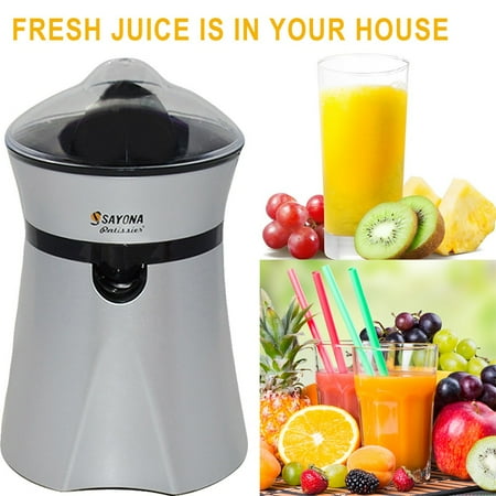 

Leylayray Household Fruit Juicer Liquidizer Durable Juice Bottle Stainless Steel Kitchen