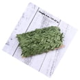 thumbnail image 4 of Homoyoyo Faux Plant Leaves Para Manualidades De Bar Casa Y Festivales, 4 of 5