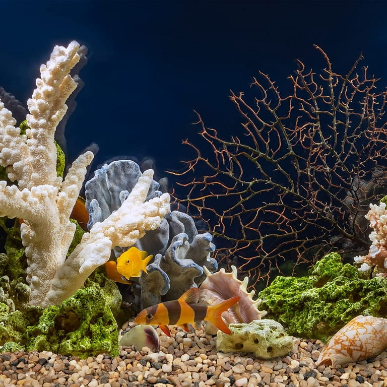 2.5lbs Aquarium Gravel, 1/5 Inch White Rocks for Fish Tank, Plants, Vases,  Natural Decorative Pebbles for Succulents, Terrarium, Cactus, Matte Texture  