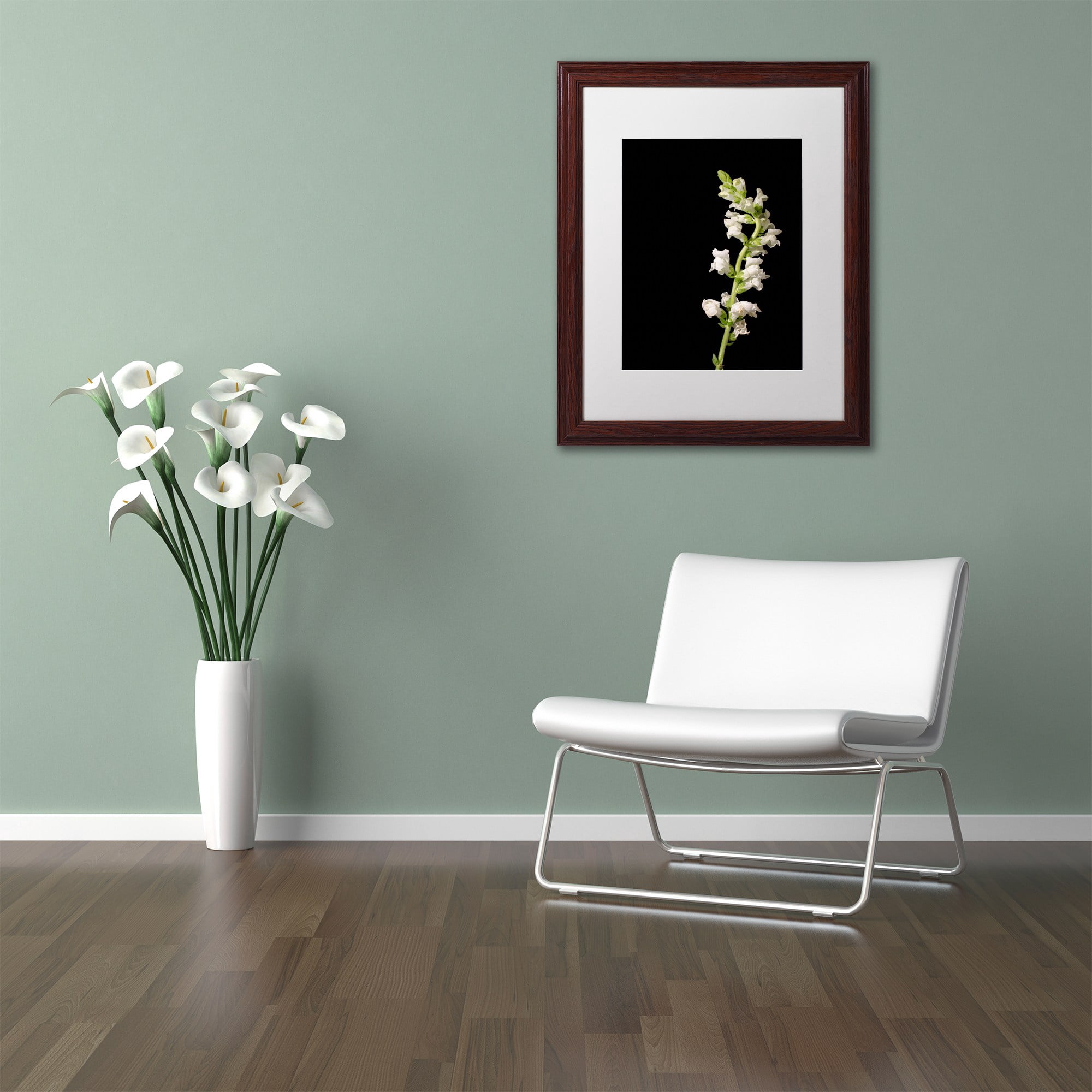 Trademark Fine Art 'White Snapdragons' Canvas Art by PIPA Fine Art, Black Matte, Black Frame