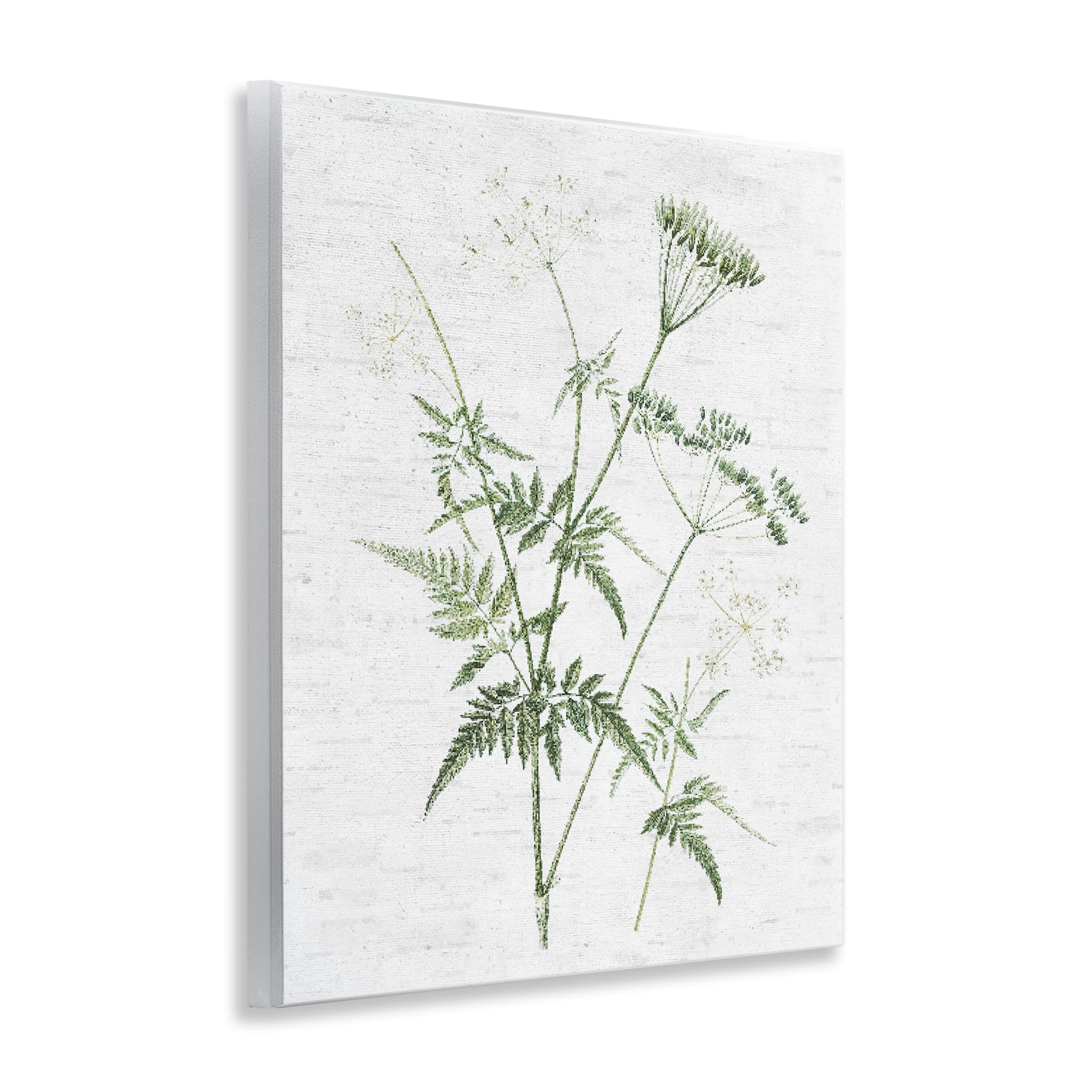Stupell Industries Soft Blooming Bud Botanical & Floral Painting Unframed Art Print Wall Art, 11 x 14