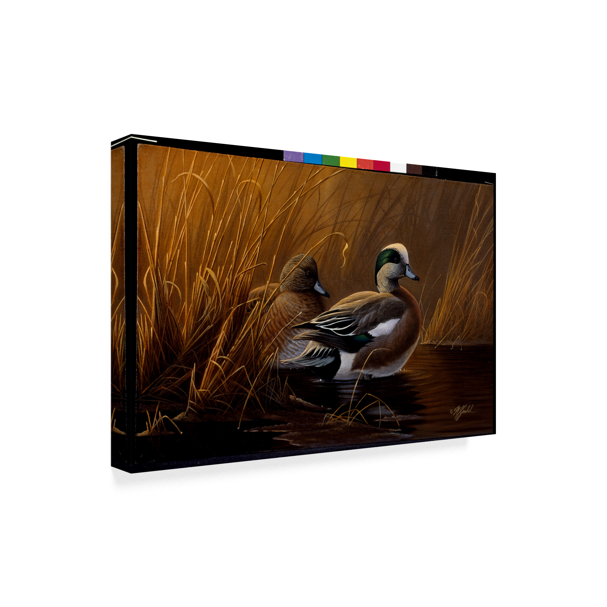 Trademark Fine Art 'Widgeon In The Grass' Canvas Art by Wilhelm Goebel
