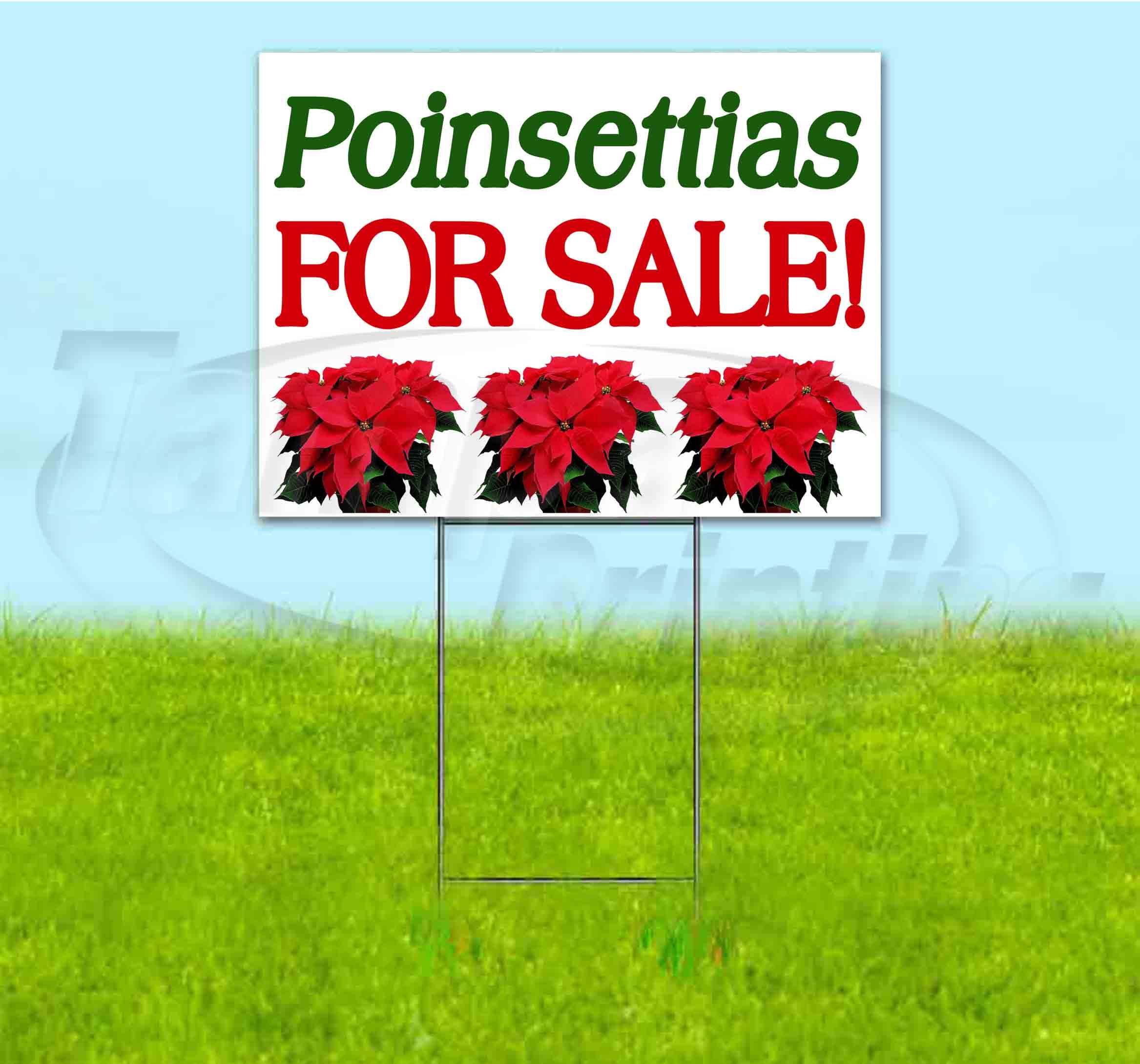 Poinsettias For Sale (18" x 24") Yard Sign, Includes Metal Step Stake