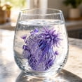 thumbnail image 5 of JWZZYD Artisanal Blue Ringed Octopus Glassware, 3.5" 2D Octopuses Stemless Wine Glasses, Handcrafted Marine Animal Bar Glass for Coastal Home Decor, Ocean Lovers(Sea Anemone, 1 Pack), 5 of 6