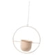 thumbnail image 4 of Maceta colgante de pared para jardín o patio interior/exterior. Amarillo leche, 4 of 8