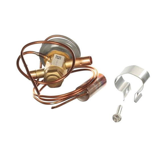 Rheem 61-102211-37 Genuine OEM TXV Expansion Valve