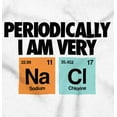 thumbnail image 2 of Funny Salty Chemistry Science Joke Unisex Plus Fleece Graphic Hoodie Brisco Brands 2X, 2 of 5