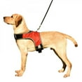 thumbnail image 1 of Dog Harness Pet Luminous LED Harness For Medium Large Dogs Pet Dog Vest Harness, 1 of 6