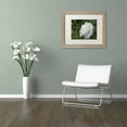 thumbnail image 3 of Trademark Fine Art "White Peony" Canvas Art by Kurt Shaffer, White Matte, Birch Frame, 3 of 4
