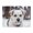 500 Pieces, variant on 500-Piece Wooden Jigsaw Puzzle for Adults - Dog In Snow Blue Eyes , Fun & Challenging Brain Teaser, Stylish Home Decor & Unique Gift