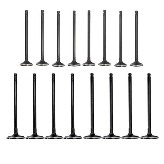 DNJ VK16678 Exhaust Intake Valve Kit Fits Cars & Trucks 2011-2017 Nissan 1.6L L4 16V DOHC 1618cc