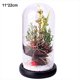 thumbnail image 2 of Plantas navideñas con cúpula de cristal Adornos navideños Rama de pino navideña con cúpula de cristal y luces, 2 of 5