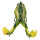 thumbnail image 1 of Frog Bait Soft Silicone Artificial Thunder Frog Bait Fishing Lures with Double Propeller Feet, 1 of 5