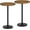 Black + Rustic Brown, variant on Round Side Table Set of 2, Tall Drink End Table for Small Spaces, Pedestal Style Martini Side Table in Living Room, Bedroom, Dormitory, Brown and Black