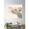 thumbnail image 2 of Albino Rex Rat Poster Wall Art, Modern Wall Decor, 16x24 UNFRAMED, 2 of 3